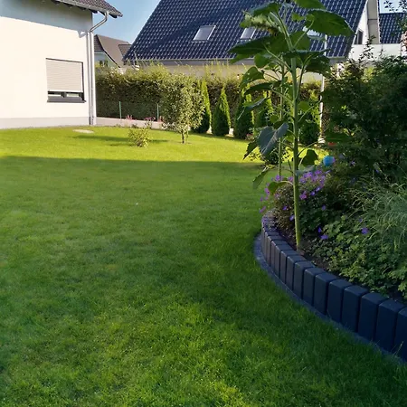Nolteluxus *